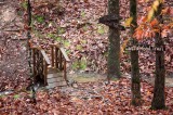 castlewood_trails_beavers_bend_bridge