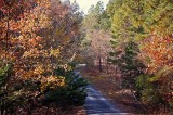 castlewood_trails_beavers_bend_road